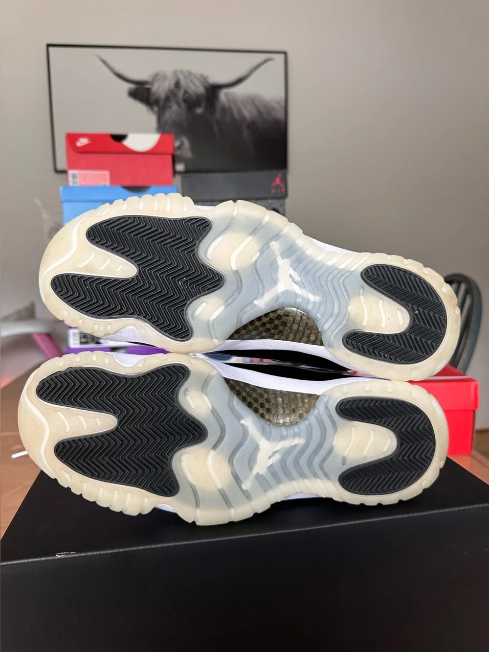 Jordan 11 Retro- DMP Gratitude (2023) (VNDS)